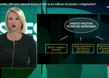 Rritja ekonomike, cilët janë sektorët kryesorë dhe sa ka ndikuar në jetesën e shqiptarëve?