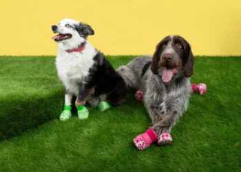 Crocs lançon linjën e re të shapkave për qen