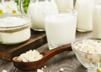 Djathi më i vjetër në botë është 3600 vjeçar