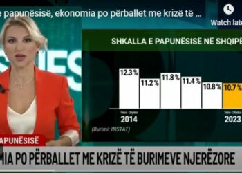 Ulja e papunësisë/ Ekonomia po përballet me krizë të burimeve njerëzore