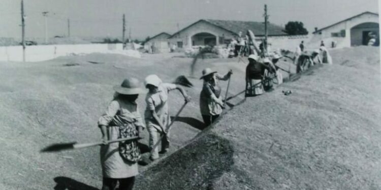 Keni punuar në kooperativa e ndërmarrje? Nismë ligjore për të njohur vitet e punës