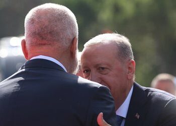 Dora e (pa) dukshme turke në ekonominë shqiptare