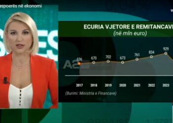 Diaspora përtej votës, pse janë të rëndësishëm emigrantët për ekonominë?
