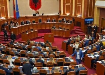 Nga pensionet, te kërkimi shkencor, PD propozon 16 ndërhyrje në projektbuxhetin e vitit të ardhshëm