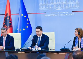 FMN kërkon rikthimin e tatimit për profesionistët e lirë dhe heqjen e taksës 0 për biznesin e vogël