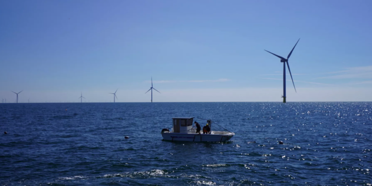 Cilat vende evropiane renditen për performancën më të lartë klimatike?