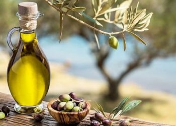 Paradoksi me importin e vallit të ullirit, ja sa humbet Shqipëria