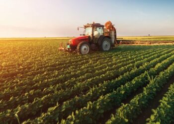 Shpallen fituesit e fondeve në bujqësi, Ja sa përfitojnë