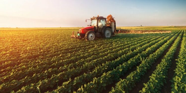 Shpallen fituesit e fondeve në bujqësi, Ja sa përfitojnë