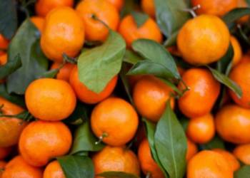 A i ndaloi BE mandarinat shqiptare si të rrezikshme? Vjen reagimi i parë i Ministrisë së Bujqësisë