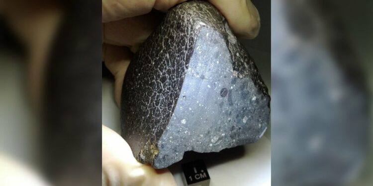 Në Mars ka pasur jetë? Zbulime mahnitëse për “Planetin e Kuq” nga meteoriti i gjetur në Sahara