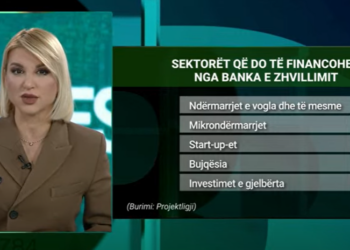 Qeveria krijon bankën e zhvillimit, ja bizneset që do të financojë