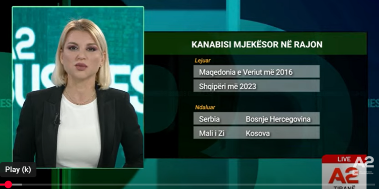 Kanabisi mjekësor, arsyet që po mbajnë peng “industrinë e drogës”