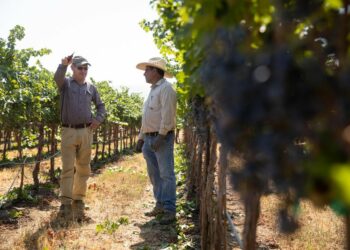 “Mbështetje e re financiare për agroturizmin”, Rama thirrje emigrantëve: Ja cfarë përfitoni
