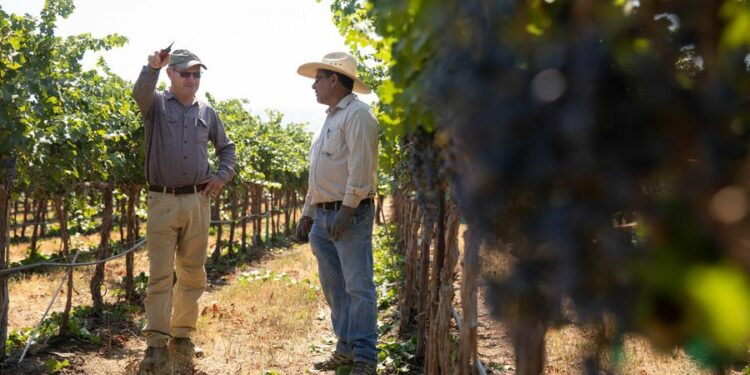 “Mbështetje e re financiare për agroturizmin”, Rama thirrje emigrantëve: Ja cfarë përfitoni