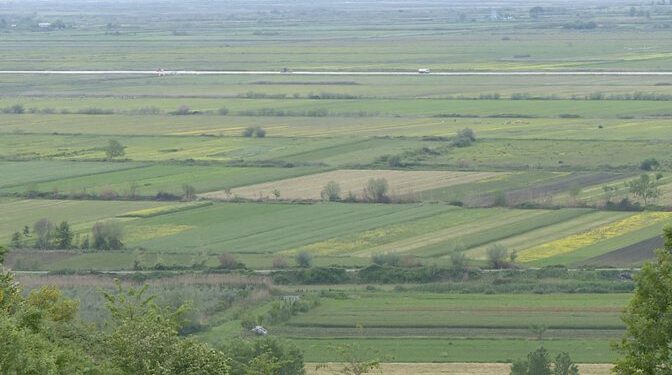 Toka shqiptare ideale për kanabis, ekspertët: 40% e fondit bujqësor, e përshtatshme