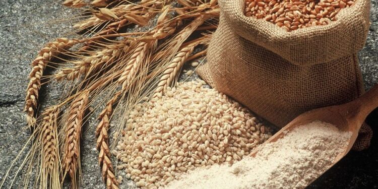 Varësia e “bukës”, Shqipëria importon 60% të grurit nga vetëm dy vende