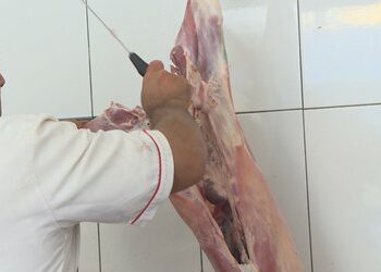 Në vend s’ka më bagëti, vitin e shkuar u importua 84 milionë euro mish