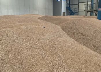 Tokat kanë mbetur djerrë, të varur nga importi edhe për drithërat