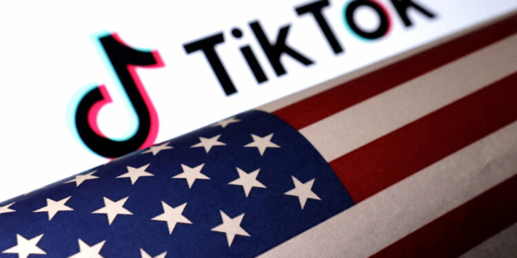 Nga MrBeast tek Elon Musk, kush po garon për blerjen e TikTok?