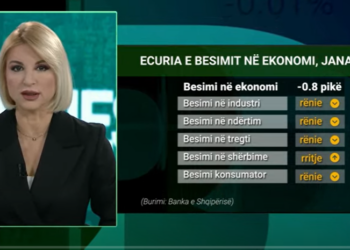 Ekonomia pa besim, pasojat tek qytetarët dhe bizneset