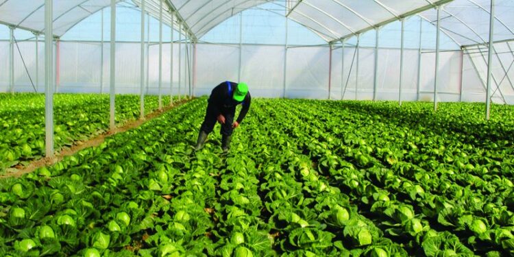 Bujqësia pa kredi, qeveria mbledh bankat