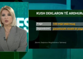 Deklarimi i të ardhurave, afati deri më 31 mars. Kush duhet të plotësojë DIVA?