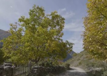 “Ktheje pronën e të parëve në mundësi të artë!” Rama: Ja si përfitoni nga Paketa e Maleve