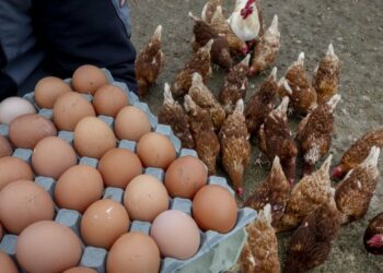 Kriza e vezëve/ SHBA kërkon ndihmën e BE-së. Çfarë qëndrimi po mban Europa mes tensioneve tarifore?