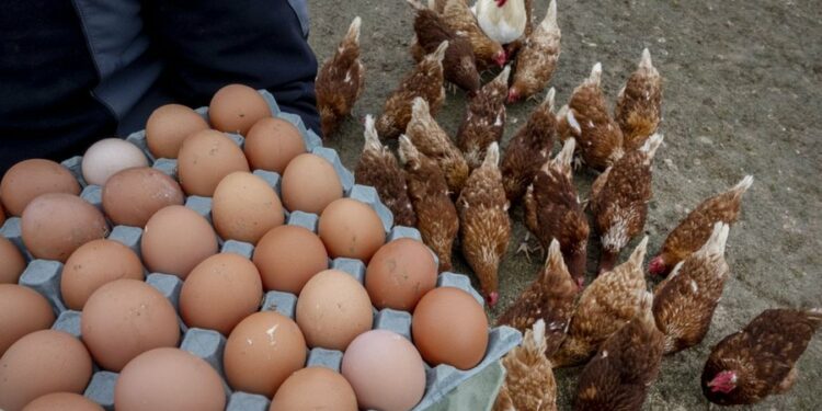 Kriza e vezëve/ SHBA kërkon ndihmën e BE-së. Çfarë qëndrimi po mban Europa mes tensioneve tarifore?