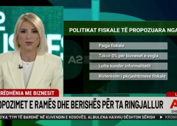 Marrëdhënia me biznesin, premtimet e Ramës dhe Berishës për ta “ringjallur”