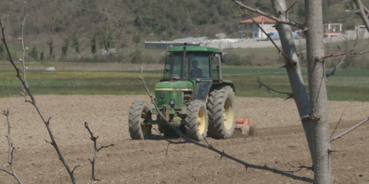 Si aplikohet për naftën falas në bujqësi? Del Udhëzimi me kriteret dhe afatet