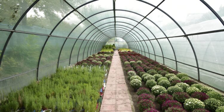 Celen aplikimet për subvencioneve nga skema kombëtare në bujqësi. Kush përfiton dhe sa…