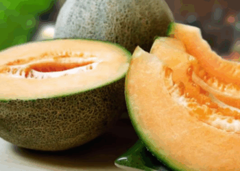 Nga pjeprat Hokkaido tek bifteku Kobe, 5 ushqimet më të shtrenjta në botë