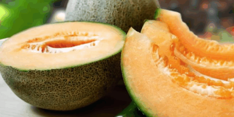 Nga pjeprat Hokkaido tek bifteku Kobe, 5 ushqimet më të shtrenjta në botë