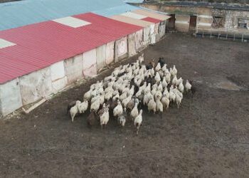 Fondet kanë 3 vjet të pezulluara, AZHBR kërkon kompani IT për të mirëmbajtur faqen web të IPARD