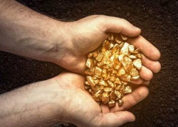 Gjen thesarin miliona euro në kopsht, por shteti ia merr