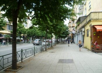 Model i ri apo i vjetër, cfarë biznesesh po hapen?