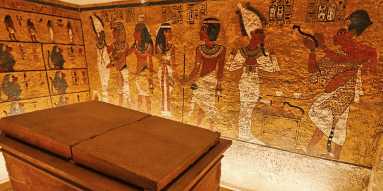 Kërpudha toksike e lidhur me ‘mallkimin e Faraonëve’ shndërrohet në ilaç për leuçeminë