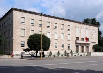 Qeveria miraton programin për praktikat e punës të profesionistëve të rinj