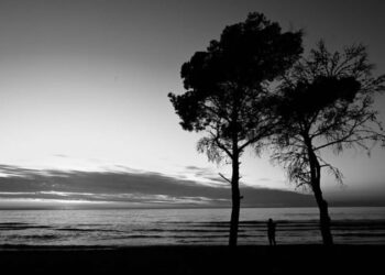 Një shënim për Shëngjinin e bukur