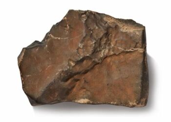 Shitet për 5.3 milionë dollarë në ankand, meteori më i madh i Marsit në Tokë