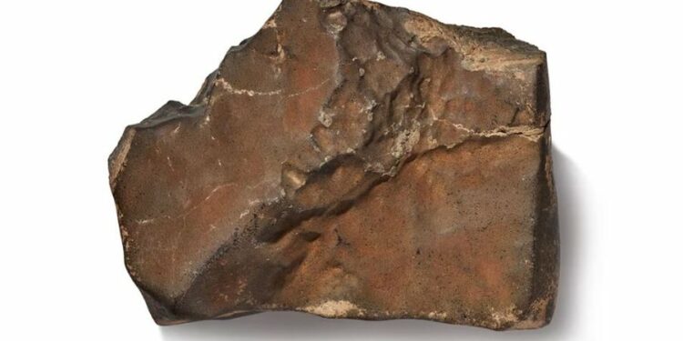 Shitet për 5.3 milionë dollarë në ankand, meteori më i madh i Marsit në Tokë