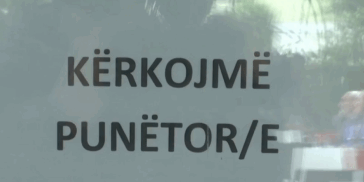 6 mijë vende të lira pune, ja sektorët që kërkojnë punonjës