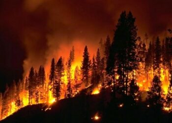 Mbi 26 mijë ha të djegura, dëmi nga zjarret deri më tani, mbi 161 milionë euro