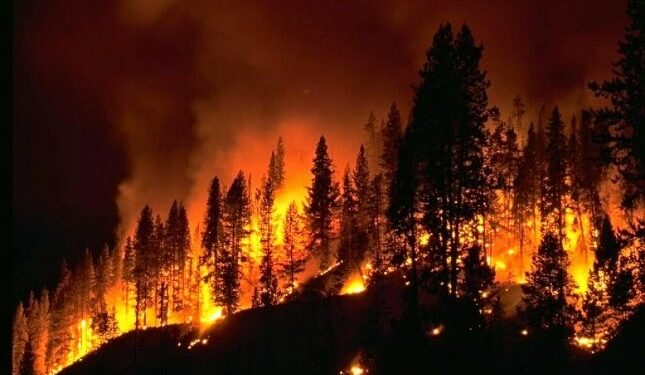 Mbi 26 mijë ha të djegura, dëmi nga zjarret deri më tani, mbi 161 milionë euro