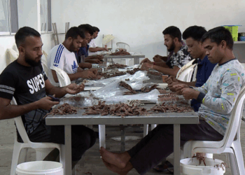 Të huajt nuk arrijnë të zëvendësojnë shqiptarët, zënë vetëm 2% të forcës së punës