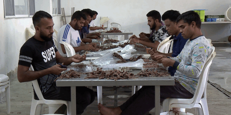 Të huajt nuk arrijnë të zëvendësojnë shqiptarët, zënë vetëm 2% të forcës së punës