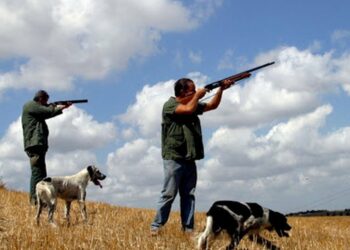 Rikthehet gjuetia, hiqet moratoriumi mbi 10-vjeçar