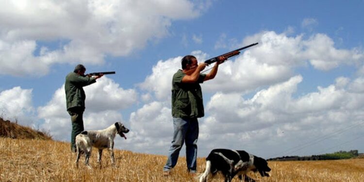 Rikthehet gjuetia, hiqet moratoriumi mbi 10-vjeçar